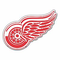 Detroit Red Wings Magnet - 8 inch