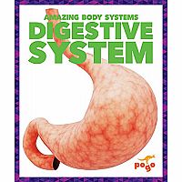 Digestive System - Amazing Body Systems 