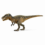 Tarbosaurus