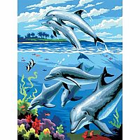Dolphins - Paint By Number 