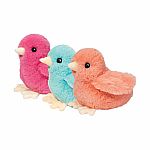 Colourful Chicks - Assortment.