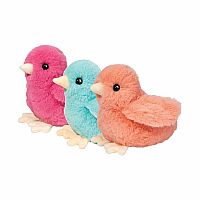 Colourful Chicks - Assortment.
