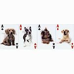 3D Playing Cards - Dog.