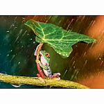 Green Umbrella - Trefl