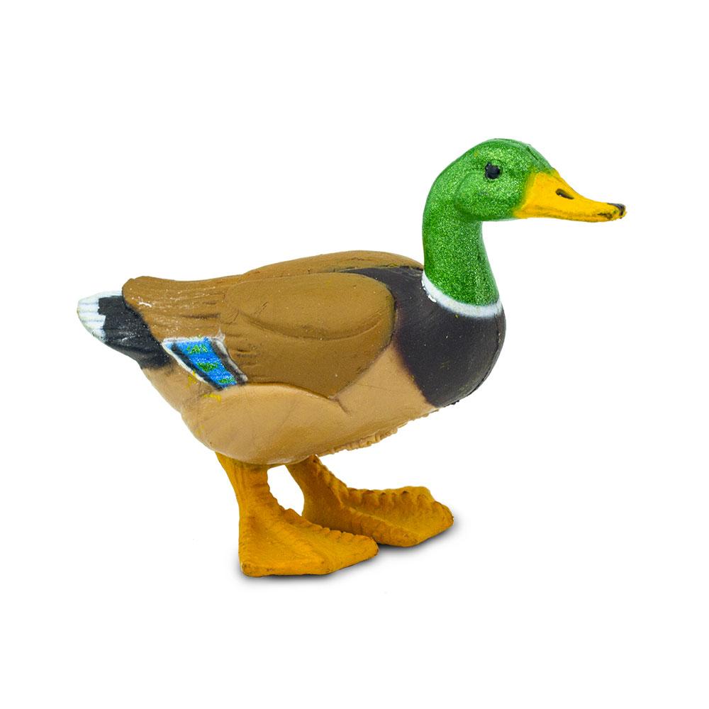 Duck Toy Sense