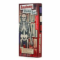 DIY Human Body Anatomy Stamp Set