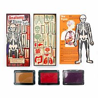 DIY Human Body Anatomy Stamp Set