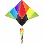 Nova Delta Rainbow Kite 60 in.