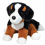 Bowie Bernese Mountain Dog