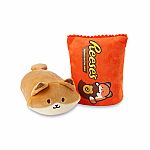 Foxiroll in Reese's Blanket