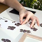 Make Your Own Pressed Flower Frame Art - Huckleberry