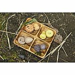 Feast of Nature Tactile Play Set.
