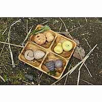 Feast of Nature Tactile Play Set