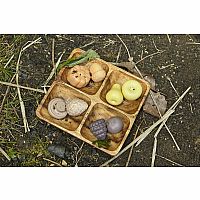 Feast of Nature Tactile Play Set.