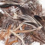 Natural Assorted Crafting Feathers