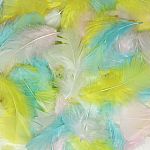 Turkey Plumage Feathers - Spring Colours Assortment