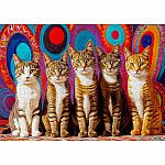 Five Cats - ENJOY Puzzles