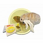 Giant Microbes - Flea