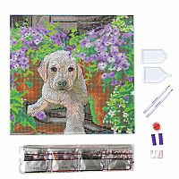 Crystal Art Medium Framed Kit - Floral Pup