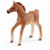 Foal With Blanket Playset