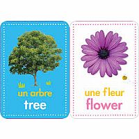 Flashcards 50 French-English Words.