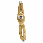 Hanging White Handed Gibbon