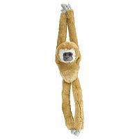 Hanging White Handed Gibbon