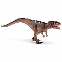Giganotosaurus Juvenile  