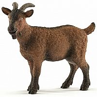 Goat.