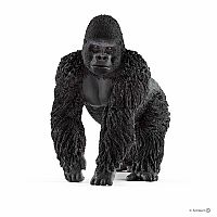 Gorilla Male.