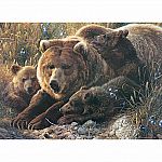 Grizzly Family - Family - Cobble Hill