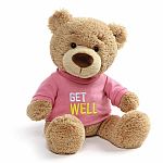 Get Well Teddy Bear - Pink