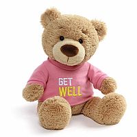 Get Well Teddy Bear - Pink  