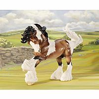 Gypsy Vanner - Traditional Series  