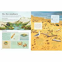 The Usborne Outdoor Book