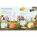 The Usborne Outdoor Book