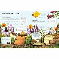 The Usborne Outdoor Book