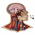 Dr. Livingston's Anatomy Puzzle - The Human Head 