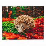 Crystal Art Large Framed Kit - Forest Hedgehog 