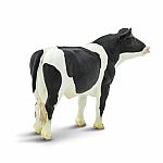 Holstein Bull.