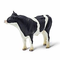 Holstein Bull.
