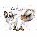 Hopper Studios Greeting Card - Think Pawsitive - Cat - Birthday