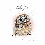 Hopper Studios Greeting Card - Owl My Love - Birthday