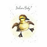Hopper Studios Greeting Cards - Baby Duck- New Baby