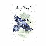 Hopper Studios Greeting Cards - Hooray Hooray -Blue Jay Birthday