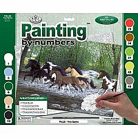 Adult Paint by Number - Free Spirits