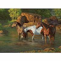Horse Pond - Cobble Hill