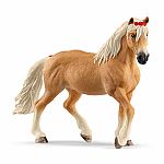 Haflinger Strute Mare