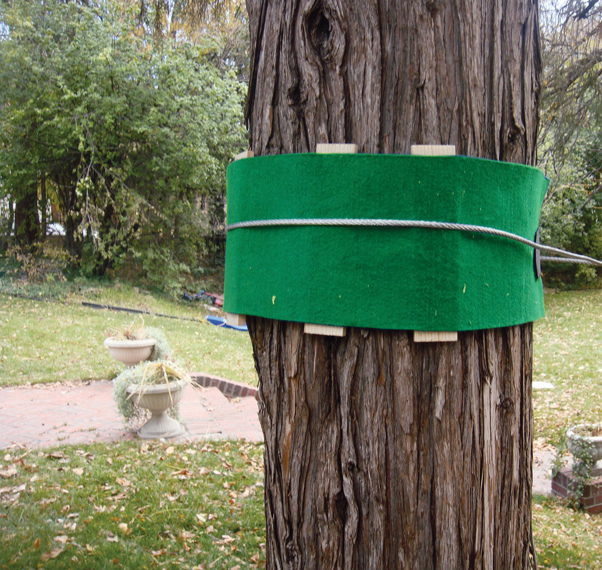 Treehuggerz Tree Protector Set Toy Sense