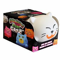 Squishi Phat Cats - Assorted